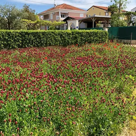 Fuchs Διαμέρισμα Ουμάγκ