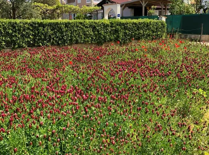 Fuchs Апартаменты Умаг