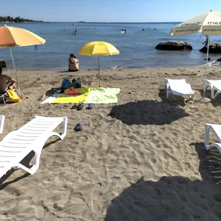 Fuchs Umag